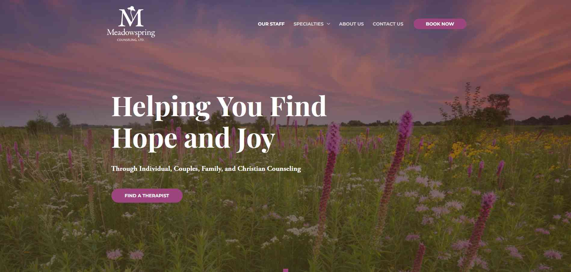 Meadowspring Counseling website homempage